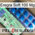 Eregra Soft 100Mg new02